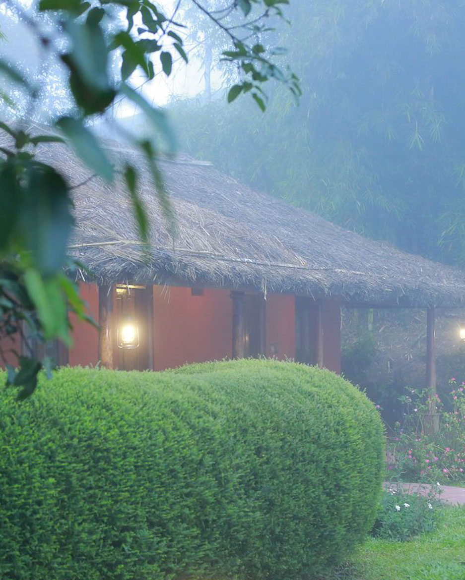 luxury resorts in vagamon