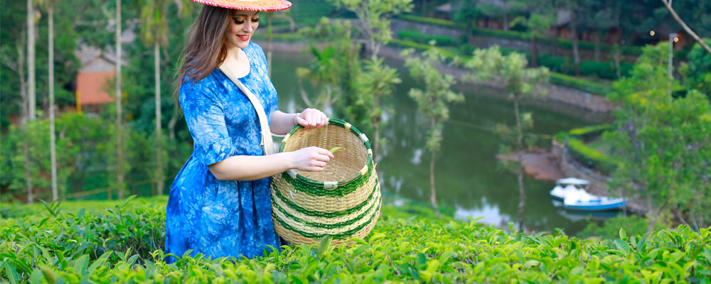 best vagamon resorts