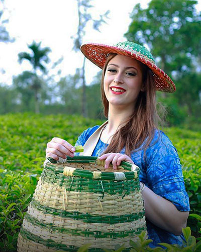 luxury resorts in vagamon