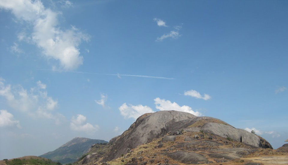 vagamon forest resorts